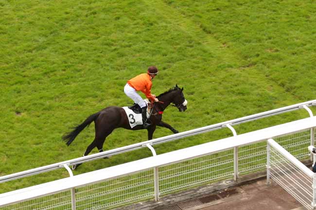 Photo d'arrivée de la course pmu PRIX BELLE ISLE à AUTEUIL MIDI le Lundi 27 juin 2016