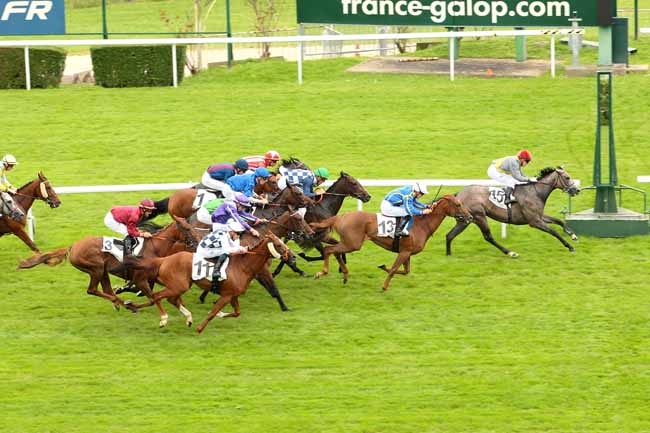 Photo d'arrivée de la course pmu PRIX LA BASCOE à SAINT-CLOUD le Mardi 28 juin 2016