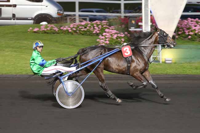 Photo d'arrivée de la course pmu PRIX THALIA à PARIS-VINCENNES le Mardi 28 juin 2016