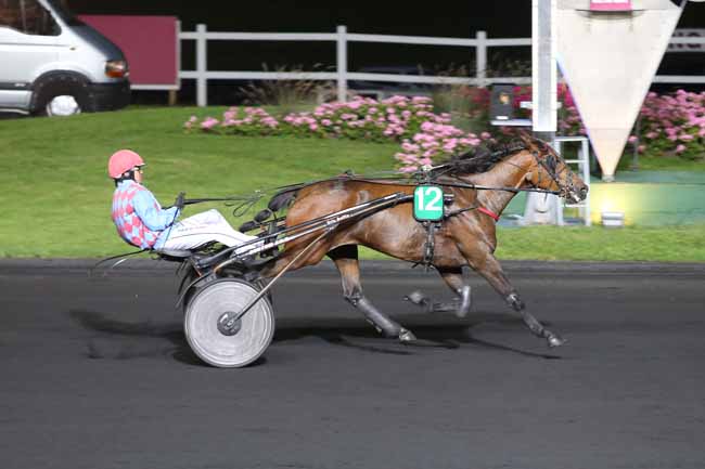 Photo d'arrivée de la course pmu PRIX TERPSICHORE à PARIS-VINCENNES le Mardi 28 juin 2016