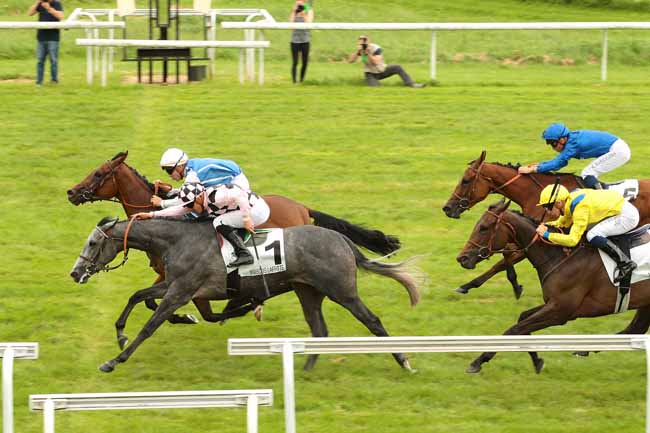 Photo d'arrivée de la course pmu PRIX ASTRONOMIE à MAISONS-LAFFITTE le Mercredi 29 juin 2016