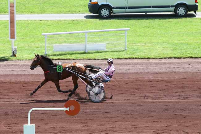 Photo d'arrivée de la course pmu PRIX DU DAUPHINE à VICHY le Jeudi 30 juin 2016