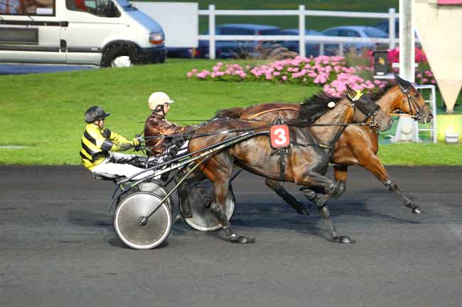 Photo d'arrivée de la course pmu PRIX URANIA à PARIS-VINCENNES le Vendredi 1 juillet 2016