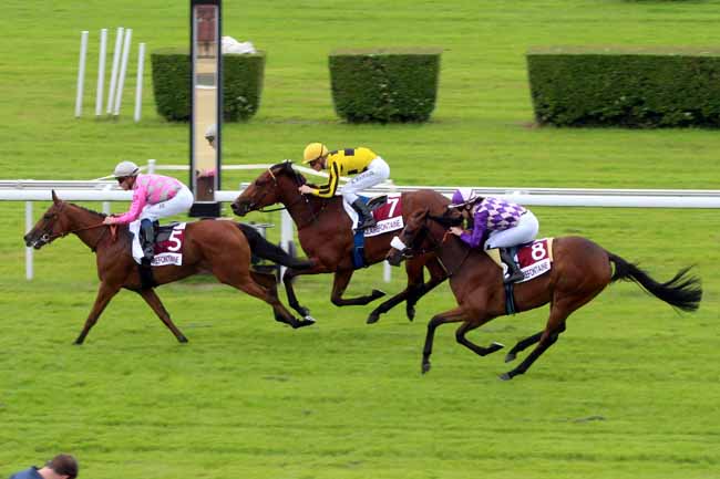 Photo d'arrivée de la course pmu PRIX DES POMMIERS à CLAIREFONTAINE le Vendredi 1 juillet 2016