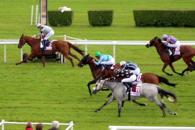 Photo d'arrivée de la course pmu PRIX DE SAINT-LEGER DUBOSQ à CLAIREFONTAINE le Vendredi 1 juillet 2016