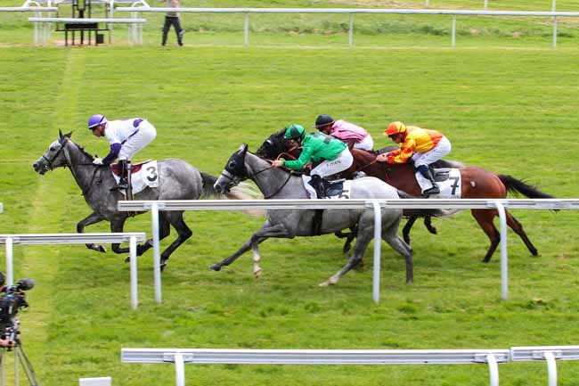 Photo d'arrivée de la course pmu PRIX DE MARLY-LE-ROI à MAISONS-LAFFITTE le Lundi 4 juillet 2016