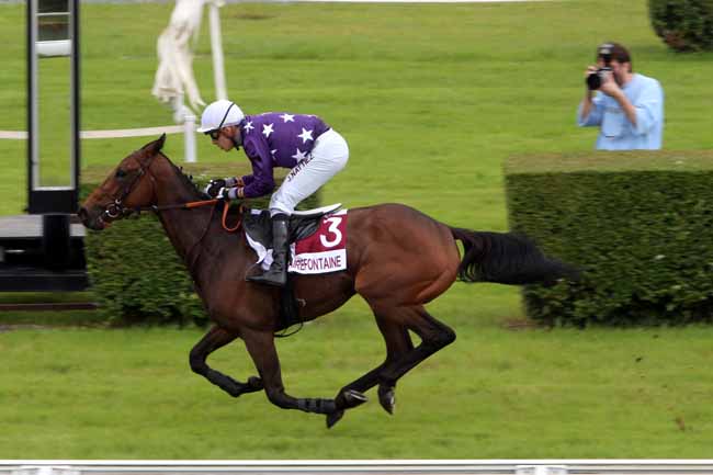 Photo d'arrivée de la course pmu PRIX LES OUVRES (PELOTON A) à CLAIREFONTAINE le Mardi 5 juillet 2016