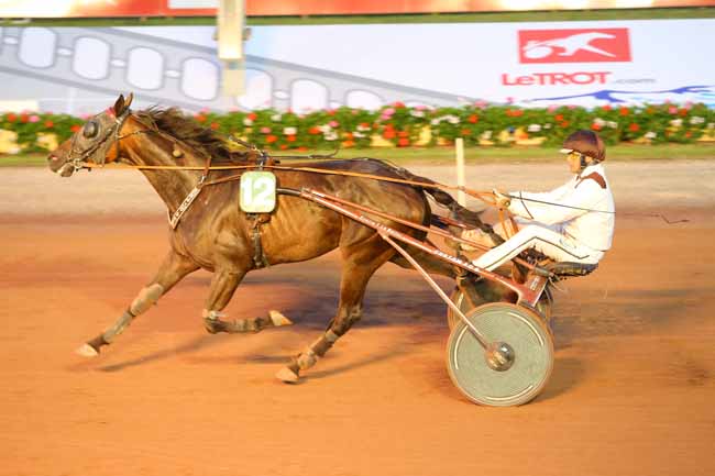 Photo d'arrivée de la course pmu PRIX DES FUSCHIAS (GR B) à CABOURG le Vendredi 8 juillet 2016