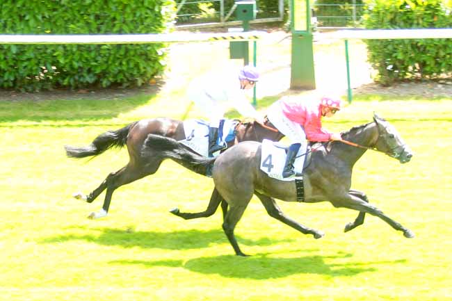 Photo d'arrivée de la course pmu PRIX DES USAGES à CHANTILLY le Dimanche 10 juillet 2016