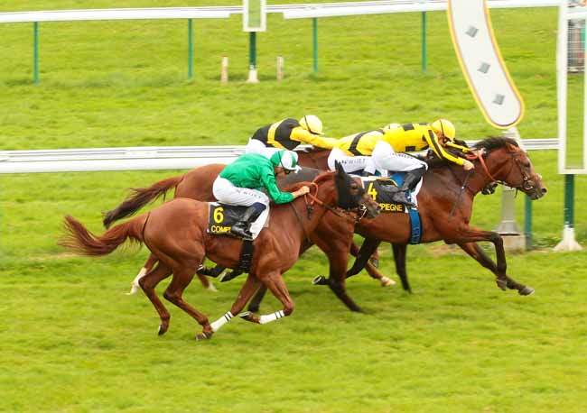 Photo d'arrivée de la course pmu PRIX DE REMY à COMPIEGNE le Lundi 11 juillet 2016