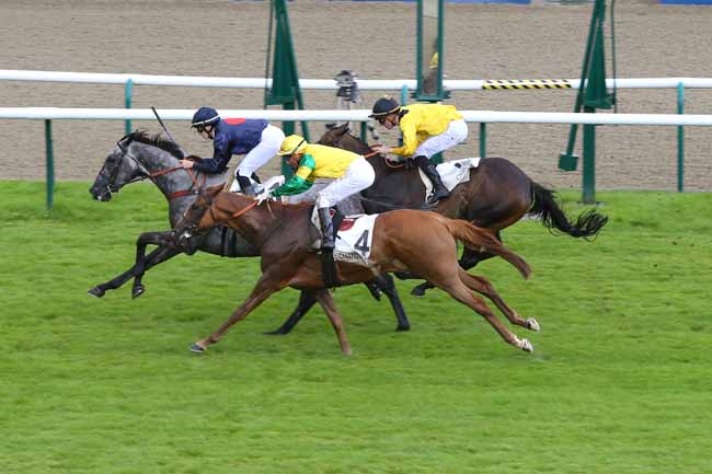 Photo d'arrivée de la course pmu PRIX PRINCE ROSE à CHANTILLY le Mercredi 13 juillet 2016