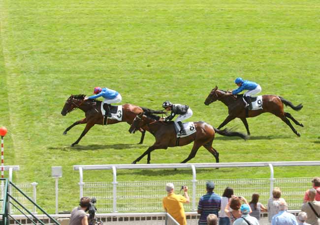 Photo d'arrivée de la course pmu PRIX SUN PRINCE à MAISONS-LAFFITTE le Dimanche 17 juillet 2016