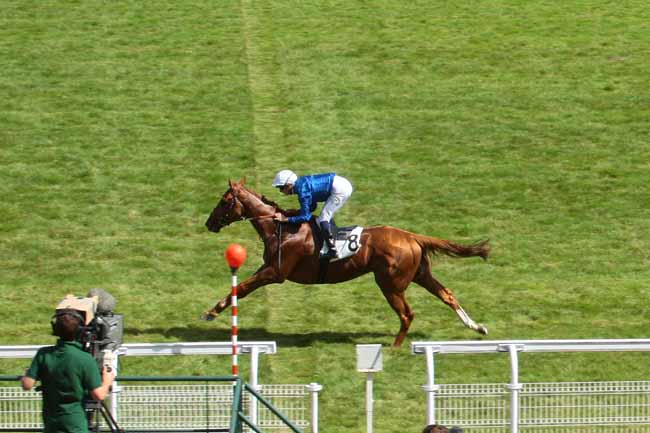 Photo d'arrivée de la course pmu PRIX MOTRICO à MAISONS-LAFFITTE le Dimanche 17 juillet 2016