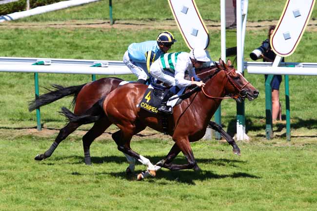 Photo d'arrivée de la course pmu PRIX DE HAUTEFONTAINE à COMPIEGNE le Mardi 19 juillet 2016