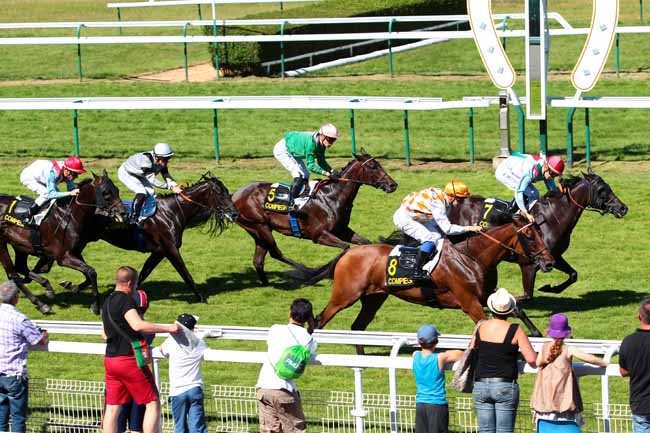 Photo d'arrivée de la course pmu PRIX DU TREMBLE à COMPIEGNE le Mardi 19 juillet 2016