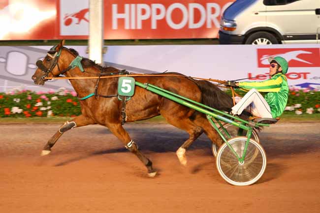 Photo d'arrivée de la course pmu PRIX DE LA VILLE D'HOULGATE à CABOURG le Vendredi 22 juillet 2016