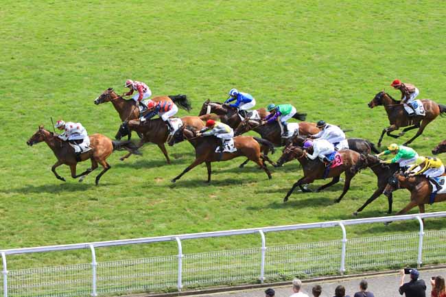Photo d'arrivée de la course pmu PRIX ALBINE à MAISONS-LAFFITTE le Dimanche 24 juillet 2016