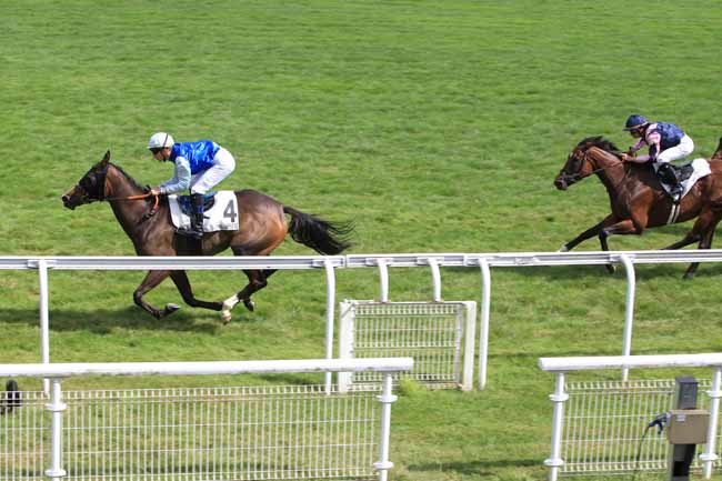 Photo d'arrivée de la course pmu PRIX DE LA PEPINIERE à MAISONS-LAFFITTE le Dimanche 24 juillet 2016