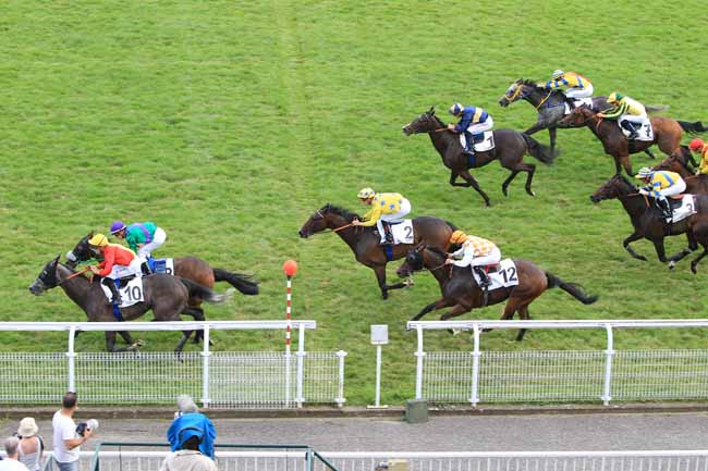 Photo d'arrivée de la course pmu PRIX EGLE à MAISONS-LAFFITTE le Dimanche 24 juillet 2016