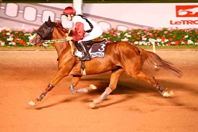 Photo d'arrivée de la course pmu PRIX DU CONSEIL DES CHEVAUX DE BASSE-NORMANDIE à CABOURG le Vendredi 29 juillet 2016