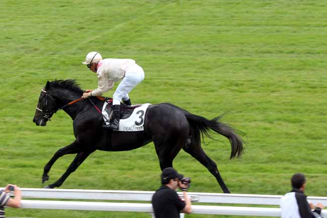 Photo d'arrivée de la course pmu PRIX DE TANCARVILLE à DEAUVILLE le Samedi 30 juillet 2016