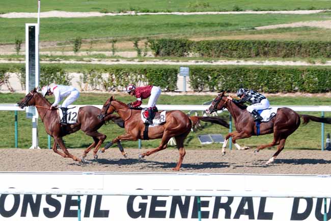 Photo d'arrivée de la course pmu PRIX D'AUEVILLA - GRATIANNE BASCANS MAROQUINIER PARIS à DEAUVILLE le Dimanche 31 juillet 2016