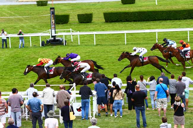 Photo d'arrivée de la course pmu PRIX GUY DU FAUR DE PIBRAC à CLAIREFONTAINE le Lundi 1 août 2016