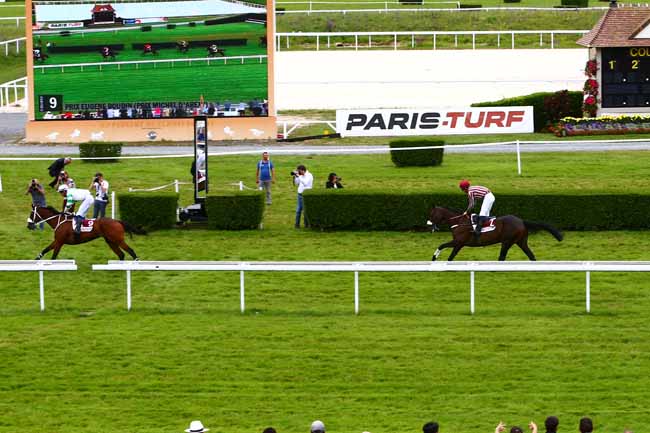Photo d'arrivée de la course pmu PRIX MICHEL D'AREXY à CLAIREFONTAINE le Lundi 1 août 2016
