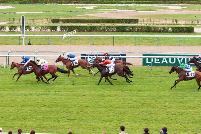 Photo d'arrivée de la course pmu PRIX DE LA BARBERIE à DEAUVILLE le Mardi 2 août 2016