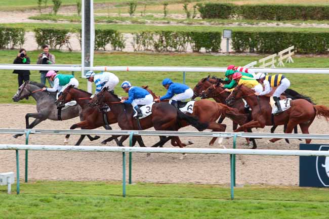 Photo d'arrivée de la course pmu PRIX DU GRAND CHENE à DEAUVILLE le Mardi 2 août 2016
