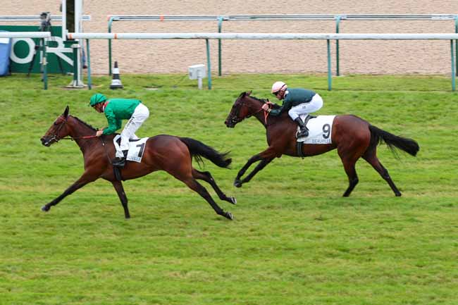 Photo d'arrivée de la course pmu PRIX DU MEZERAY à DEAUVILLE le Mardi 2 août 2016