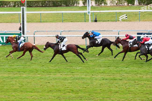 Photo d'arrivée de la course pmu PRIX DE CAMPIGNY à DEAUVILLE le Mardi 2 août 2016
