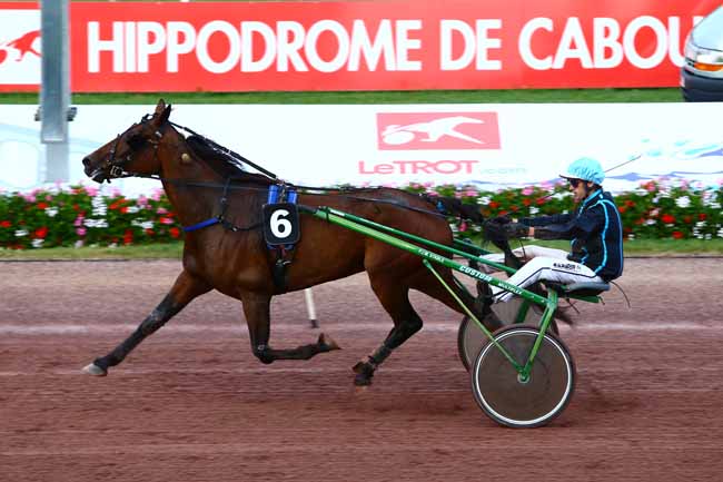 Photo d'arrivée de la course pmu PRIX DES ASTERS à CABOURG le Vendredi 5 août 2016