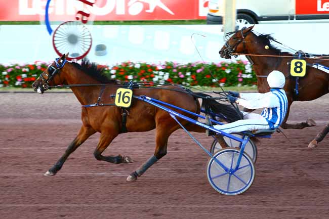 Photo d'arrivée de la course pmu PRIX DES TOURNESOLS à CABOURG le Vendredi 5 août 2016