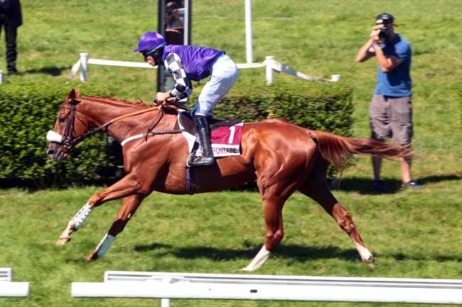 Photo d'arrivée de la course pmu PRIX DES TILLEULS à CLAIREFONTAINE le Samedi 6 août 2016
