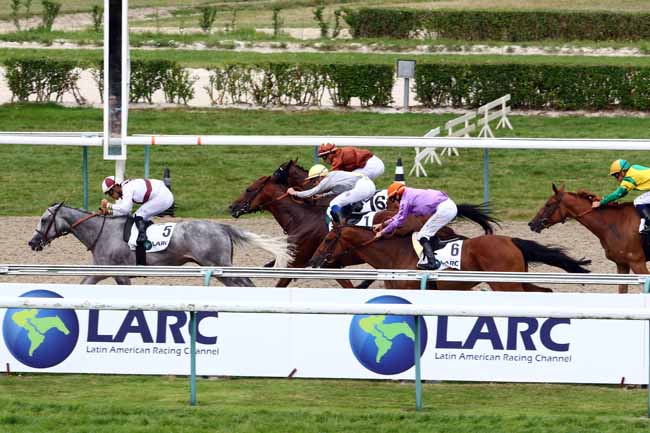 Photo d'arrivée de la course pmu PRIX ASOCIACION COOPERATIVA DE CRIADORES DE ARGENTINA à DEAUVILLE le Dimanche 7 août 2016