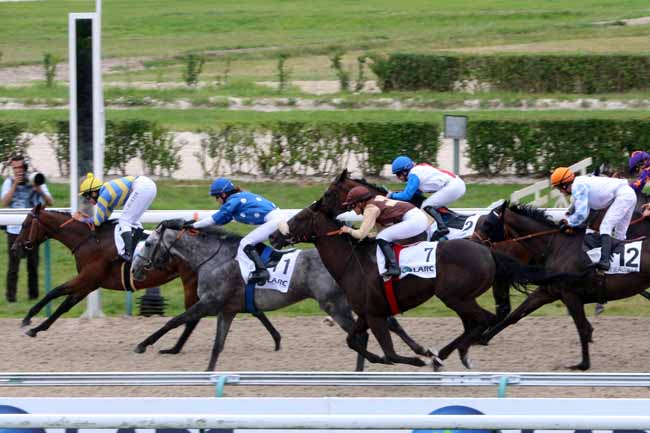 Photo d'arrivée de la course pmu PRIX DU HARAS DON ALBERTO à DEAUVILLE le Dimanche 7 août 2016