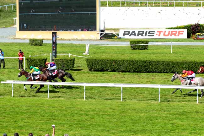 Photo d'arrivée de la course pmu PRIX DES ORCHIDEES à CLAIREFONTAINE le Lundi 8 août 2016