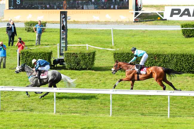 Photo d'arrivée de la course pmu PRIX YPREAUX à CLAIREFONTAINE le Lundi 8 août 2016