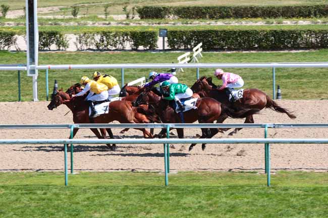 Photo d'arrivée de la course pmu PRIX DU MANOIR POTIER à DEAUVILLE le Mardi 9 août 2016