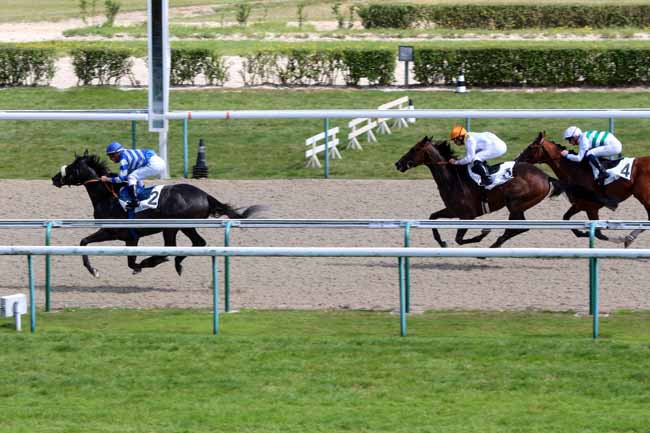 Photo d'arrivée de la course pmu PRIX DE CARENTAN à DEAUVILLE le Jeudi 11 août 2016