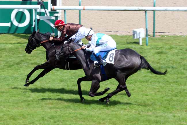 Photo d'arrivée de la course pmu PRIX DE FALAISE à DEAUVILLE le Jeudi 11 août 2016
