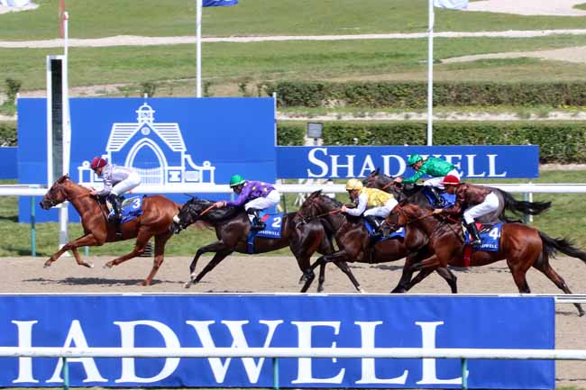 Photo d'arrivée de la course pmu F.E.E. PRIX MUHAARAR à DEAUVILLE le Samedi 13 août 2016