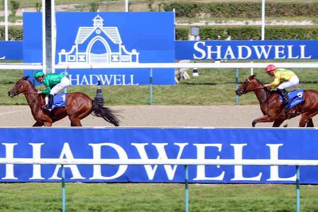 Photo d'arrivée de la course pmu F.E.E. PRIX SHADWELL FARM à DEAUVILLE le Samedi 13 août 2016