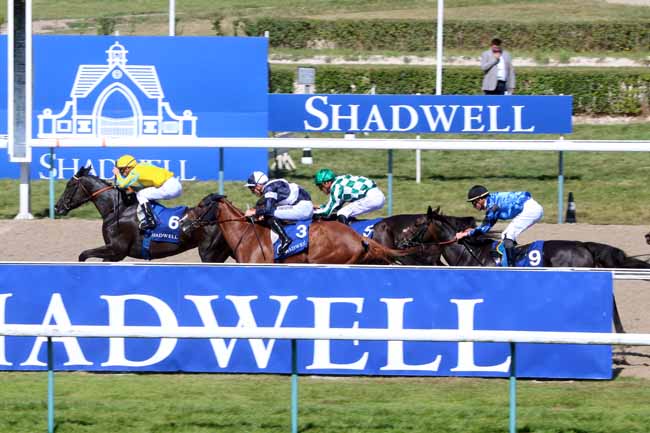 Photo d'arrivée de la course pmu PRIX MUHTATHIR AU HARAS DU MEZERAY à DEAUVILLE le Samedi 13 août 2016