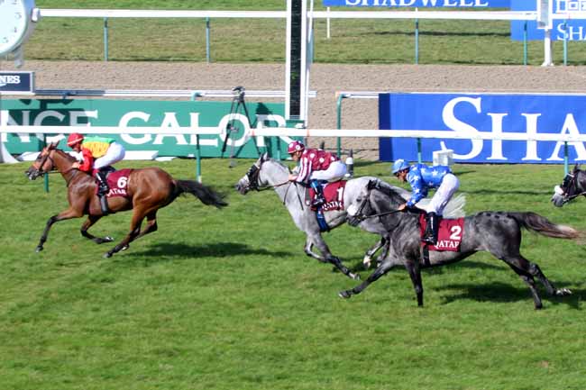 Photo d'arrivée de la course pmu PRIX MANGANATE à DEAUVILLE le Samedi 13 août 2016