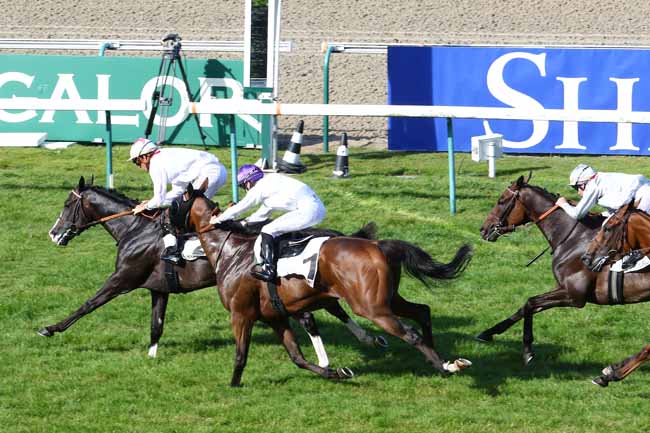 Photo d'arrivée de la course pmu PRIX DE L'ORBIQUET à DEAUVILLE le Samedi 13 août 2016
