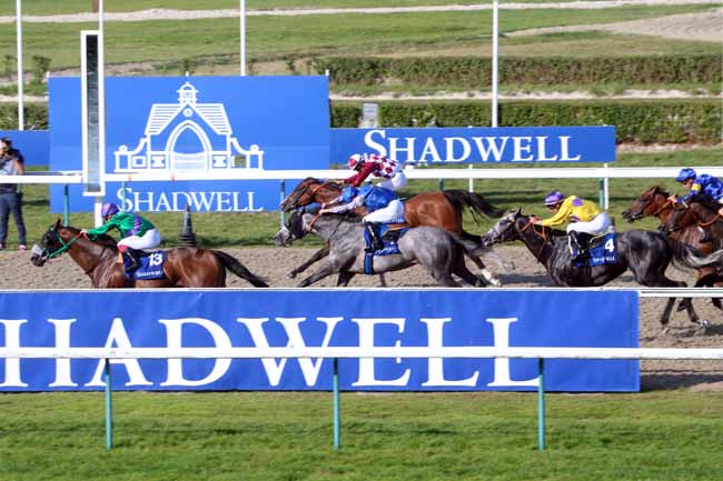 Photo d'arrivée de la course pmu PRIX MAWATHEEQ AU HARAS DU THENNEY à DEAUVILLE le Samedi 13 août 2016