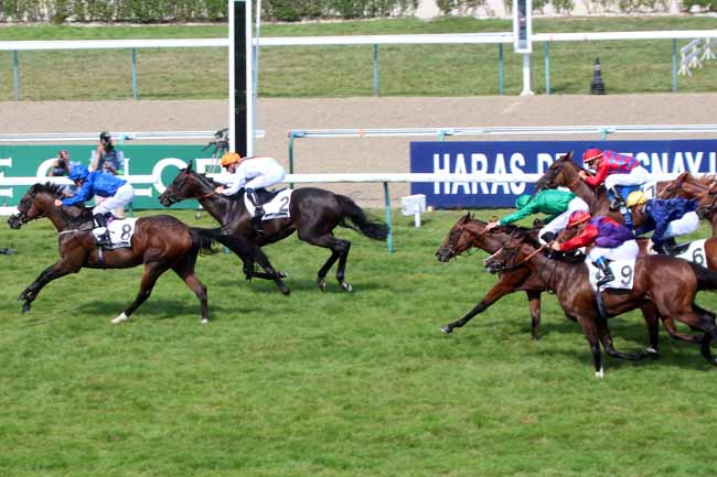 Photo d'arrivée de la course pmu PRIX DU HARAS DE FRESNAY-LE-BUFFARD - JACQUES LE MAROIS à DEAUVILLE le Dimanche 14 août 2016