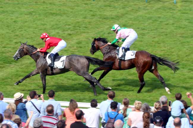 Photo d'arrivée de la course pmu PRIX FRANCOIS BOUTIN à DEAUVILLE le Dimanche 14 août 2016